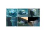 robot-dolphin-t35-34912