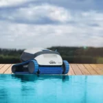 DOLPHIN-S100