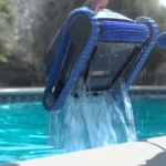 DOLPHIN-S100
