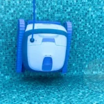 DOLPHIN-S100